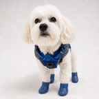 Bottes de pluie L'Ondée pour chien, coloris Bleu marine, Maison Pattounes, vue 1