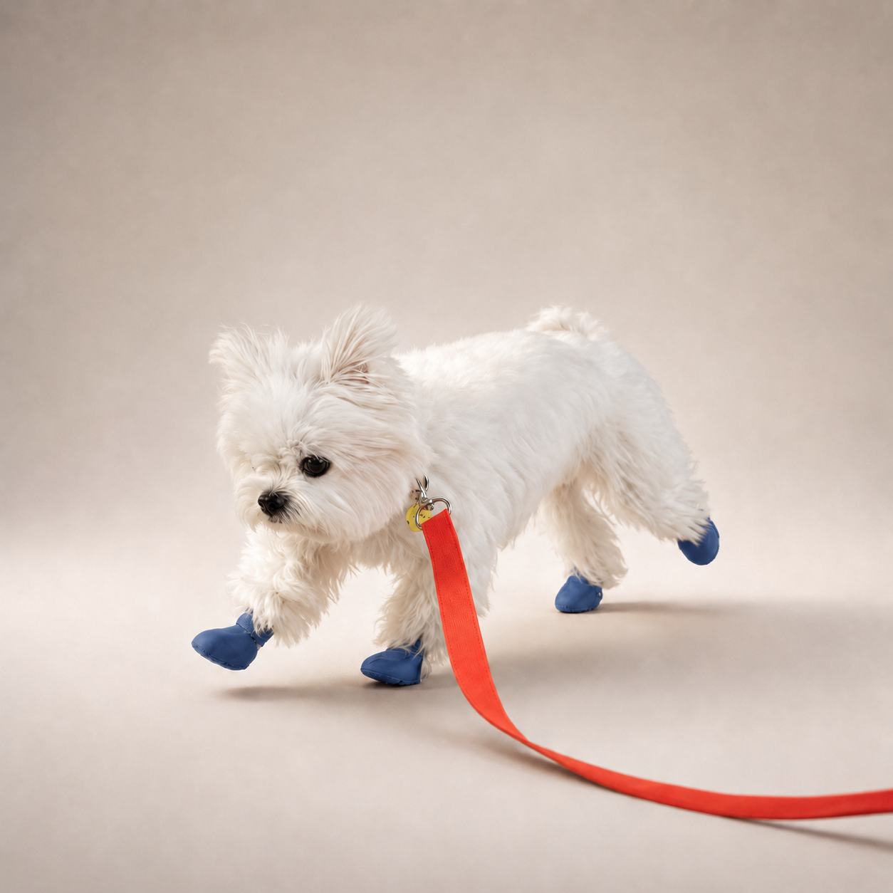 Bottes de pluie L'Ondée pour chien, coloris Bleu marine, Maison Pattounes, vue 2