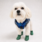 Bottes de pluie L'Ondée pour chien, coloris Vert forêt, Maison Pattounes, vue 1