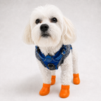 Bottes de pluie L'Ondée pour chien, coloris Orange, Maison Pattounes, vue 1