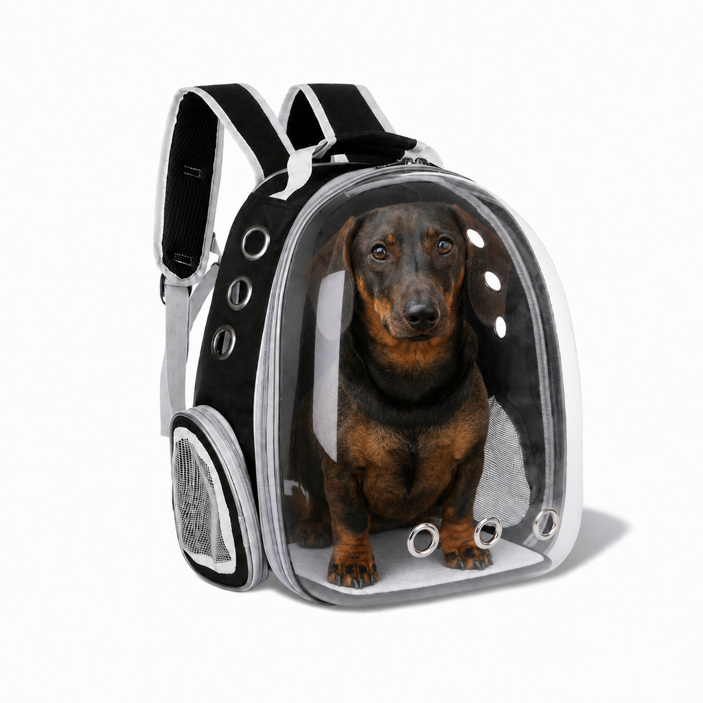 Sac de transport dôme L'Explorateur pour chien, Maison Pattounes, vue 2