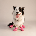 Bottes ajourées L'Estival pour chien, coloris Rose vif, Maison Pattounes, vue 1