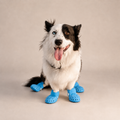 Bottes ajourées L'Estival pour chien, coloris Bleu cobalt, Maison Pattounes, vue 1