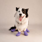 Bottes ajourées L'Estival pour chien, coloris Violet, Maison Pattounes, vue 1