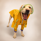 Imperméable à capuche Le Suroît pour chien, coloris Jaune, Maison Pattounes, vue 3