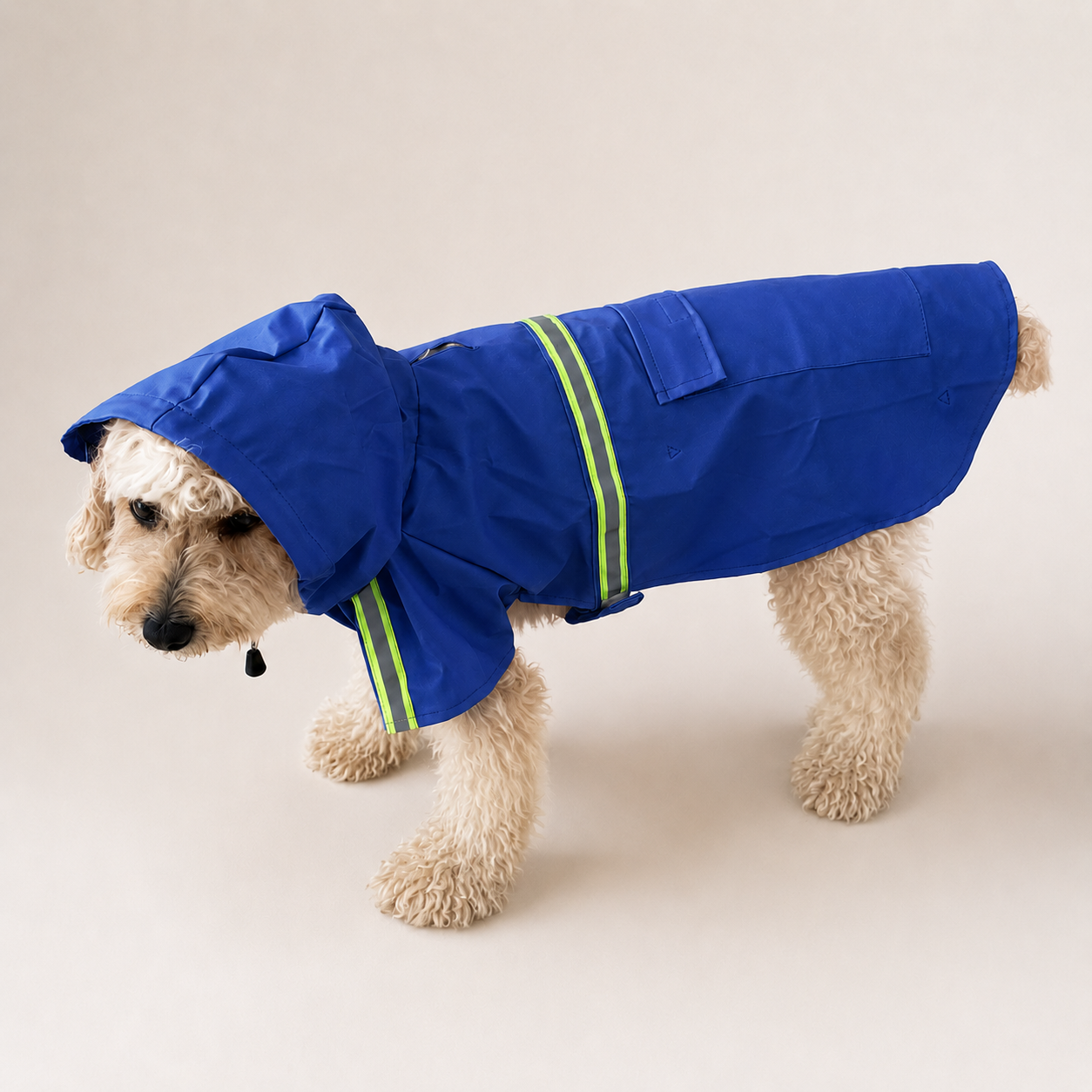 Imperméable à capuche Le Suroît pour chien, coloris Bleu nuit, Maison Pattounes, vue 4