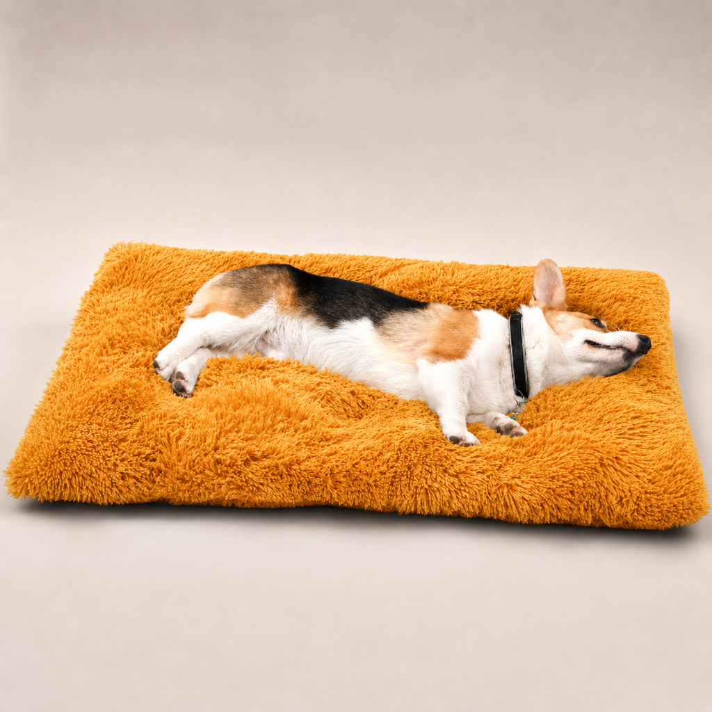 Lit moelleux Le Nuage pour chien, coloris Doré, Maison Pattounes, vue 2