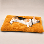 Lit moelleux Le Nuage pour chien, coloris Doré, Maison Pattounes, vue 2