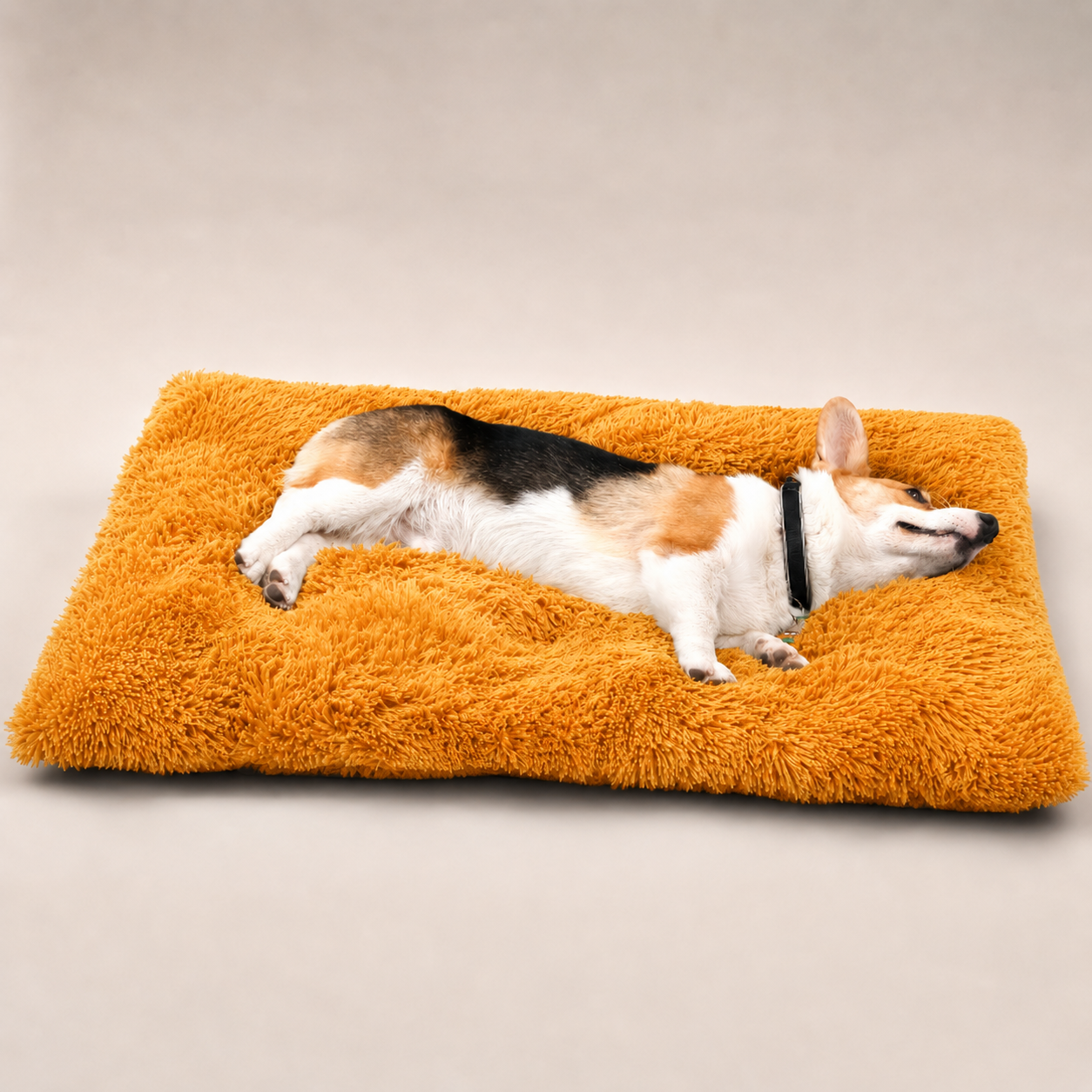 Lit moelleux Le Nuage pour chien, coloris Doré, Maison Pattounes, vue 2