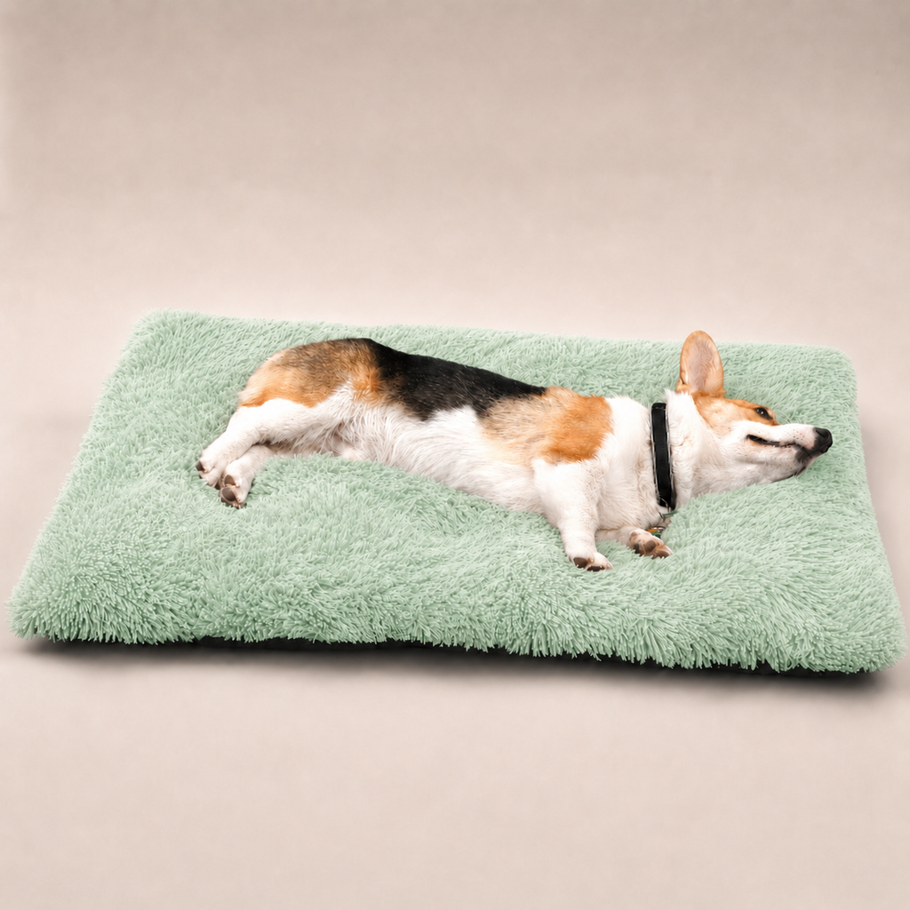 Lit moelleux Le Nuage pour chien, coloris Vert tendre, Maison Pattounes, vue 2