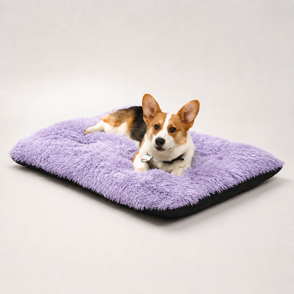 Lit moelleux Le Nuage pour chien, coloris Violet dégradé, Maison Pattounes, vue 1
