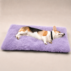 Lit moelleux Le Nuage pour chien, coloris Violet dégradé, Maison Pattounes, vue 2