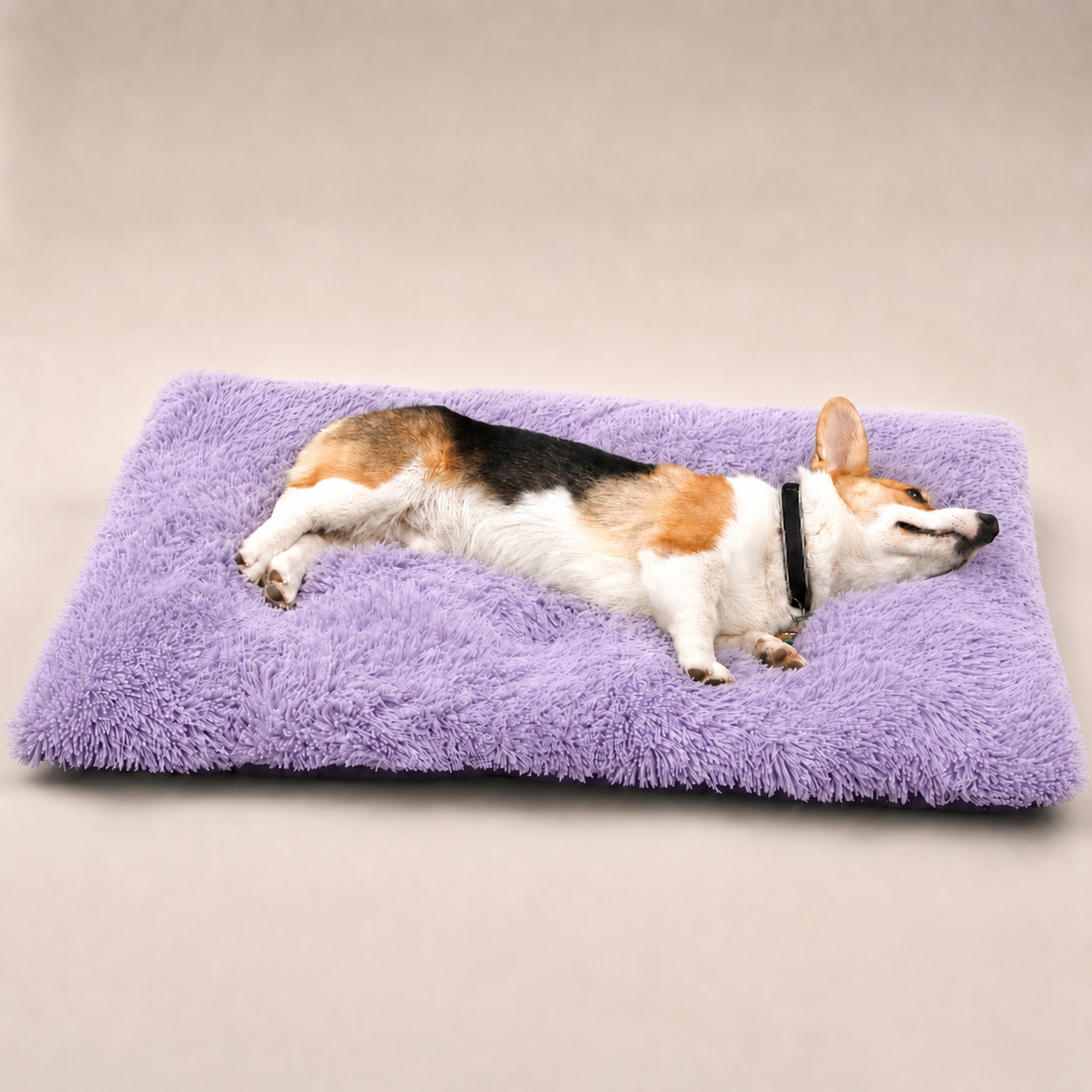 Lit moelleux Le Nuage pour chien, coloris Violet dégradé, Maison Pattounes, vue 2