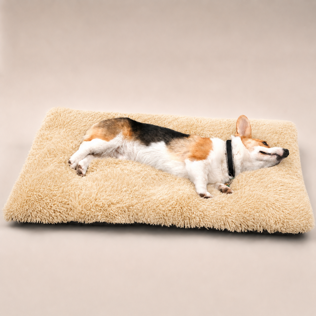 Lit moelleux Le Nuage pour chien, coloris Abricot, Maison Pattounes, vue 2