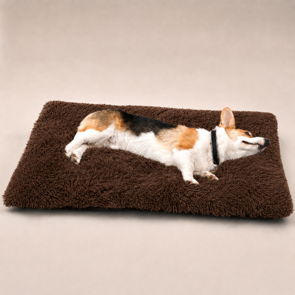 Lit moelleux Le Nuage pour chien, coloris Café, Maison Pattounes, vue 2