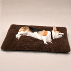 Lit moelleux Le Nuage pour chien, coloris Café, Maison Pattounes, vue 2