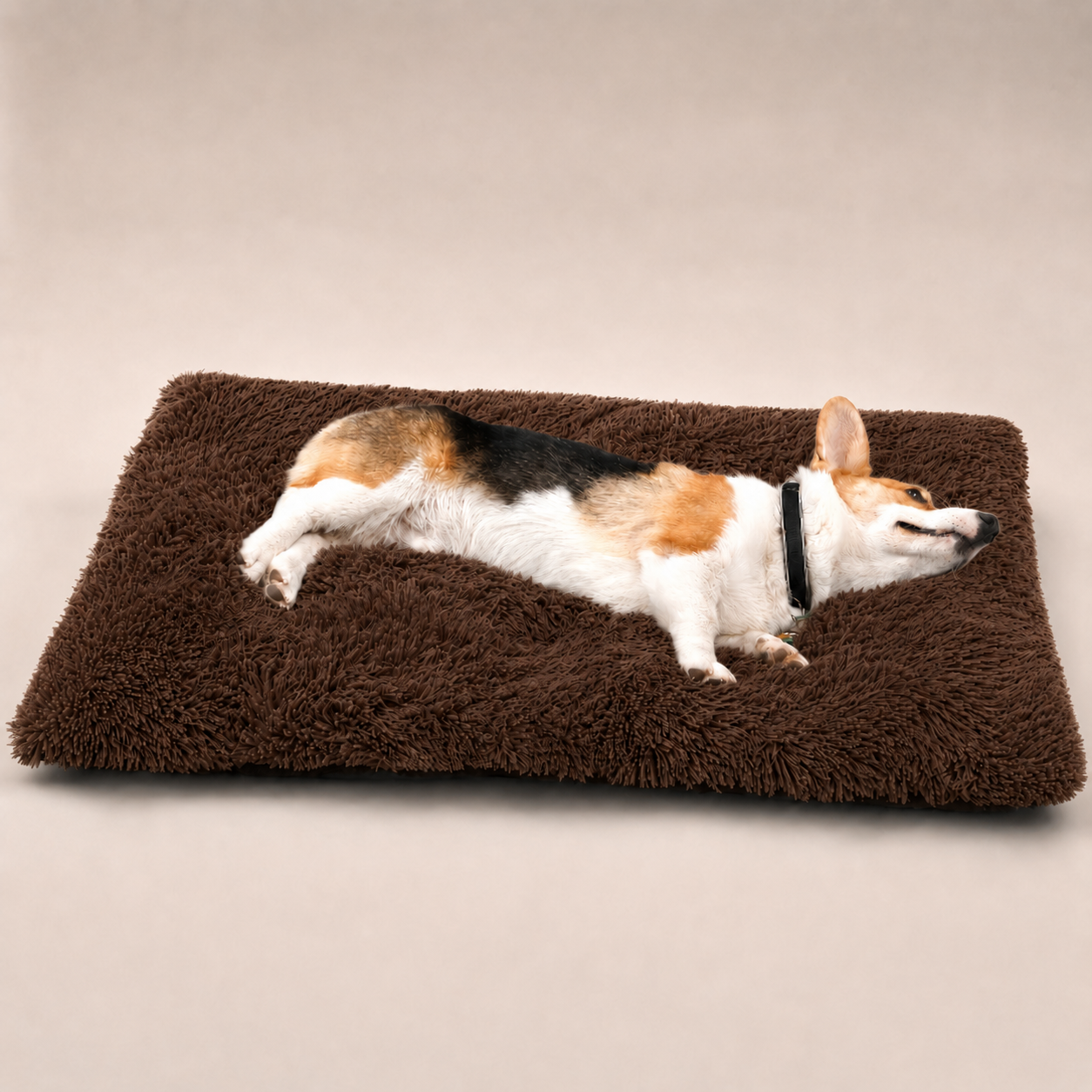 Lit moelleux Le Nuage pour chien, coloris Café, Maison Pattounes, vue 2