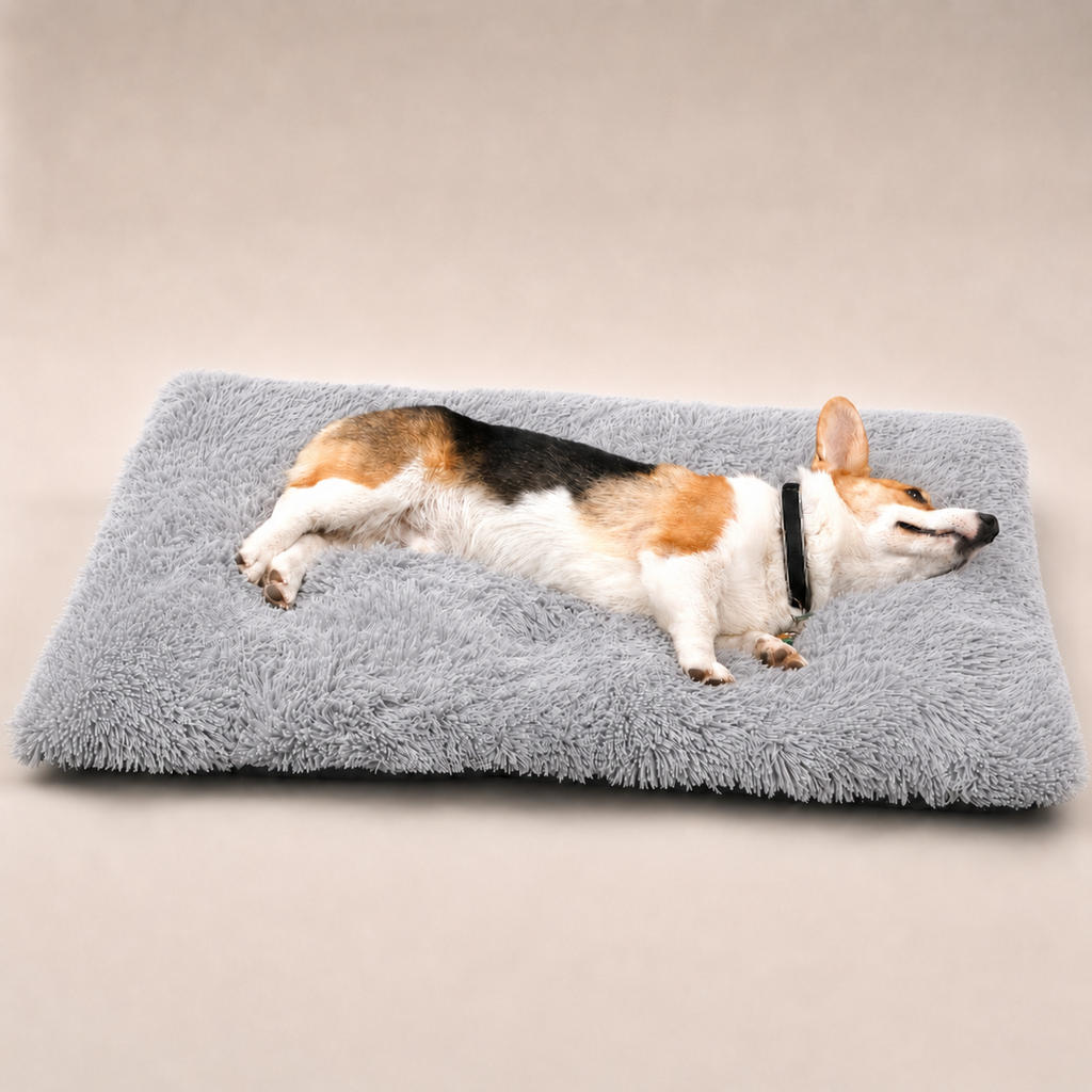 Lit moelleux Le Nuage pour chien, coloris Gris clair, Maison Pattounes, vue 2