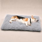 Lit moelleux Le Nuage pour chien, coloris Gris clair, Maison Pattounes, vue 2