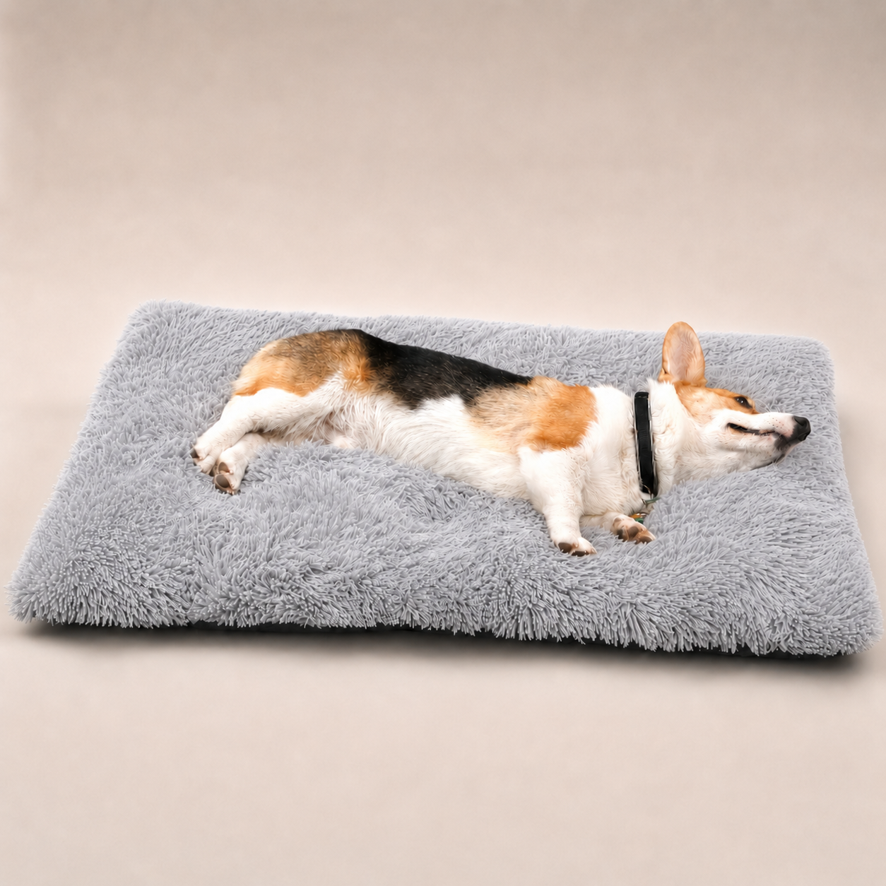 Lit moelleux Le Nuage pour chien, coloris Gris clair, Maison Pattounes, vue 2