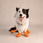 Bottes ajourées L'Estival pour chien, coloris Orange, Maison Pattounes, vue 1