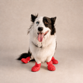 Bottes ajourées L'Estival pour chien, coloris Rouge, Maison Pattounes, vue 1