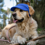 Casquette de soleil La Capeline pour chien, coloris Bleu sauge, Maison Pattounes, vue 2