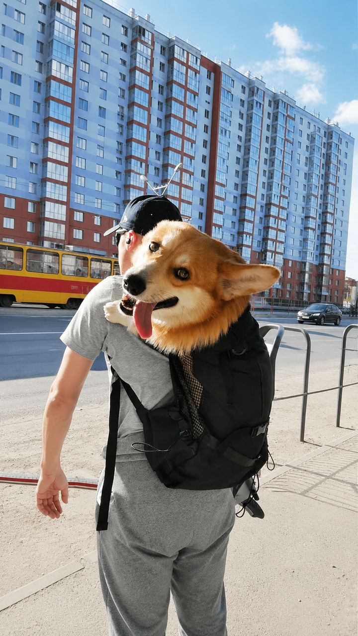 Le Grimpeur · Sac à dos pour chien