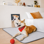 La Banquise · Tapis rafraîchissant pour chien