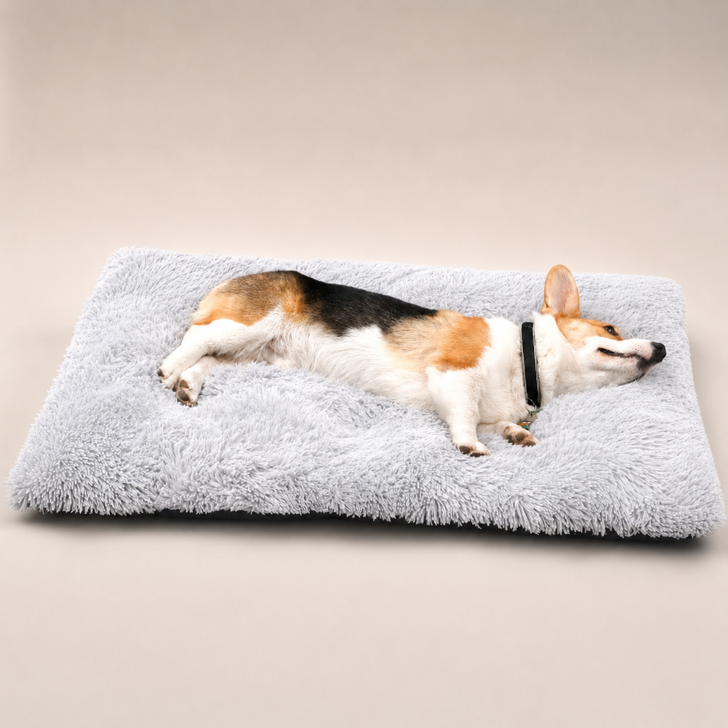 Lit moelleux Le Nuage pour chien, coloris Blanc crème, Maison Pattounes, vue 2