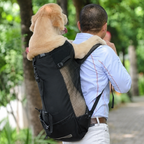 Sac à dos de portage Le Grimpeur pour chien, coloris Noir, Maison Pattounes, vue 4
