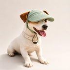Casquette de soleil La Capeline pour chien, coloris Vert sauge, Maison Pattounes, vue 1
