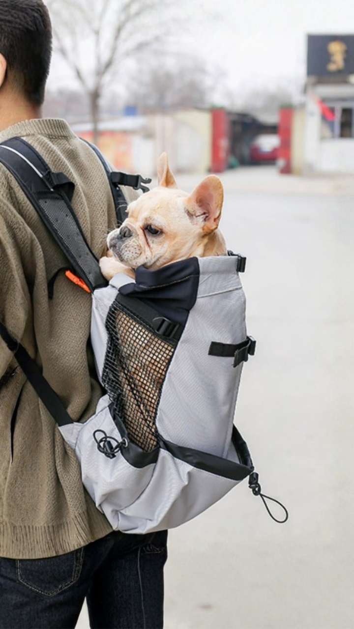Le Grimpeur · Sac à dos pour chien