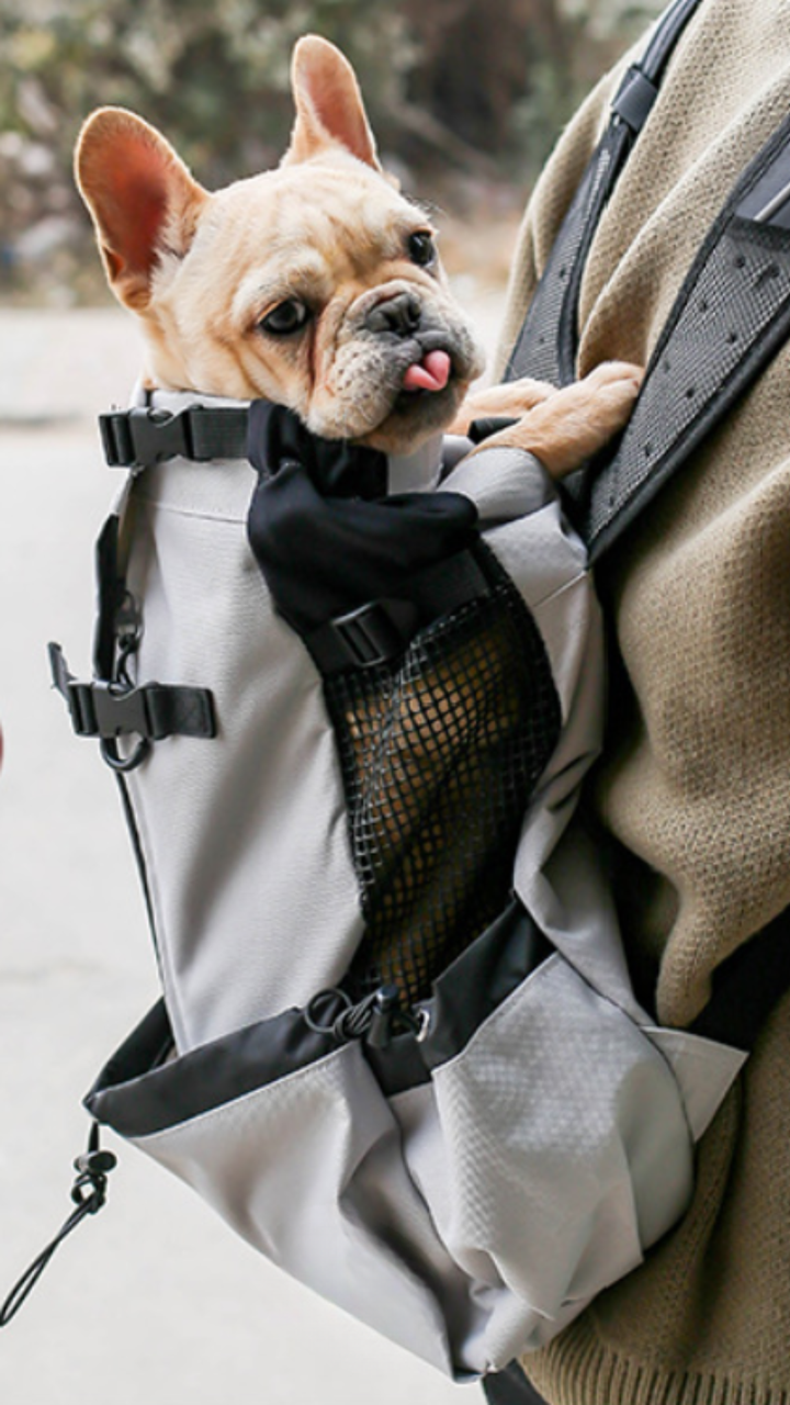 Le Grimpeur · Sac à dos pour chien