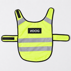 Gilet de sécurité réfléchissant Le Phare pour chien, coloris Jaune fluo, Maison Pattounes, vue 5