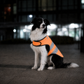 Gilet de sécurité réfléchissant Le Phare pour chien, coloris Orange, Maison Pattounes, vue 1