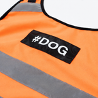 Gilet de sécurité réfléchissant Le Phare pour chien, coloris Orange, Maison Pattounes, vue 4