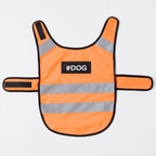 Gilet de sécurité réfléchissant Le Phare pour chien, coloris Orange, Maison Pattounes, vue 5
