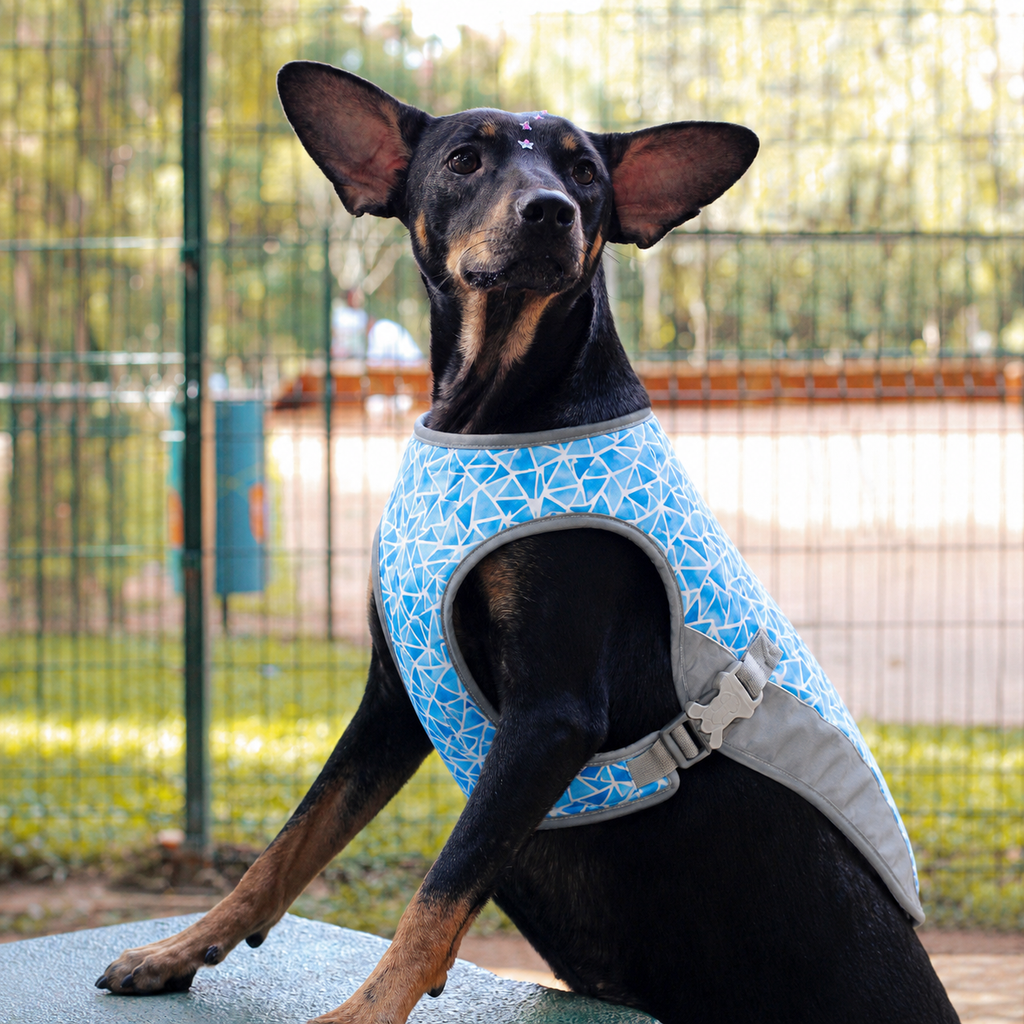 Gilet rafraîchissant La Fraîchette pour chien, coloris Bleu, Maison Pattounes, vue 1