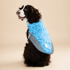Gilet rafraîchissant La Fraîchette pour chien, coloris Bleu, Maison Pattounes, vue 4