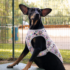 Gilet rafraîchissant La Fraîchette pour chien, coloris Rose, Maison Pattounes, vue 1
