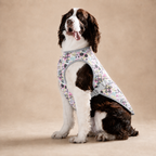 Gilet rafraîchissant La Fraîchette pour chien, coloris Rose, Maison Pattounes, vue 2