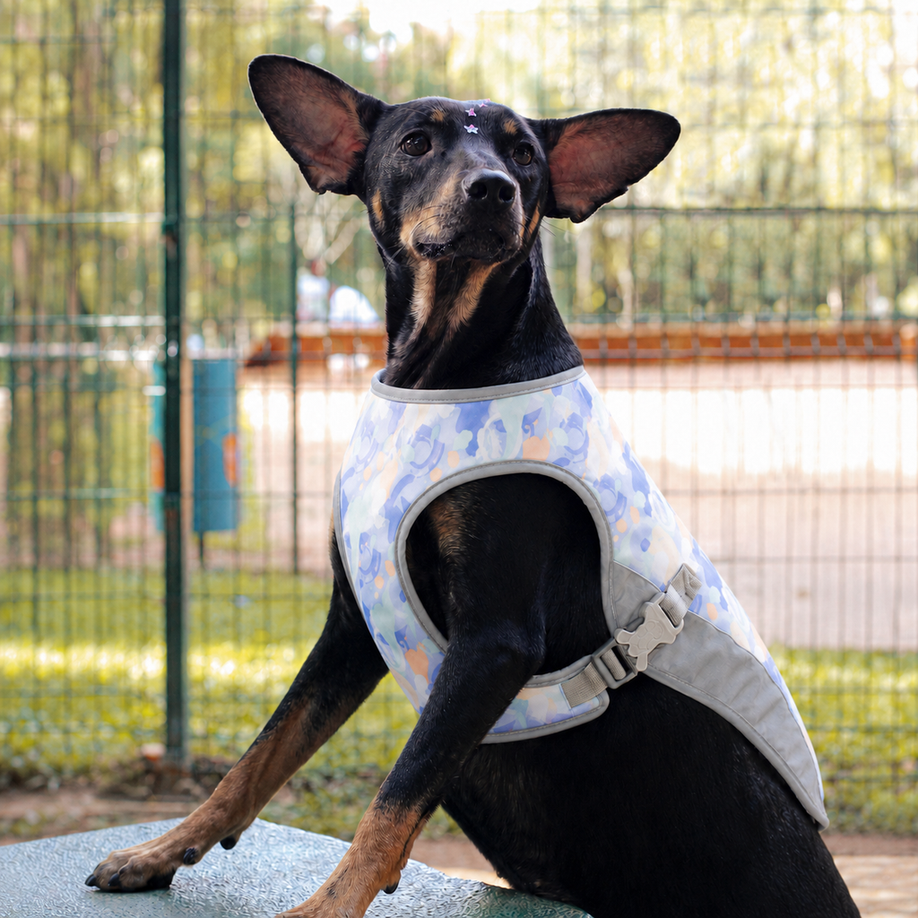 Gilet rafraîchissant La Fraîchette pour chien, coloris Violet, Maison Pattounes, vue 1