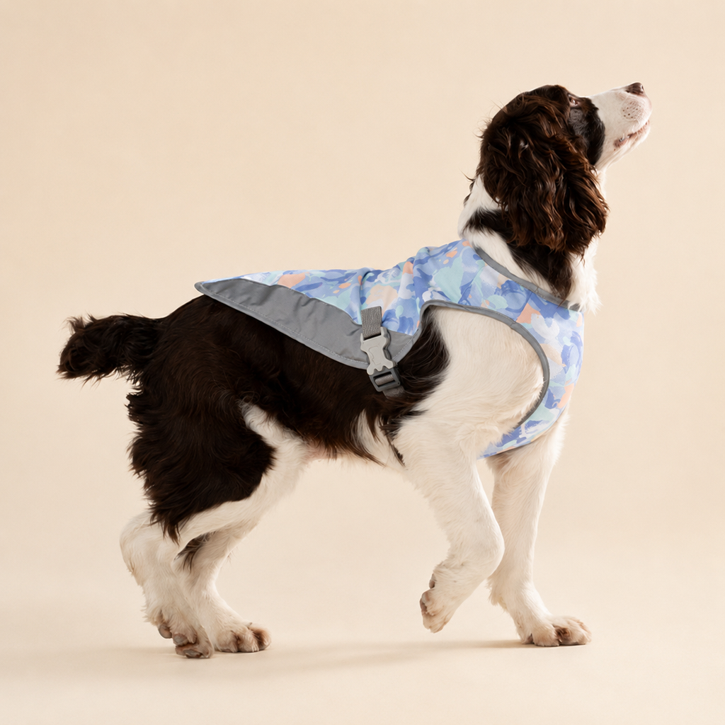 Gilet rafraîchissant La Fraîchette pour chien, coloris Violet, Maison Pattounes, vue 2