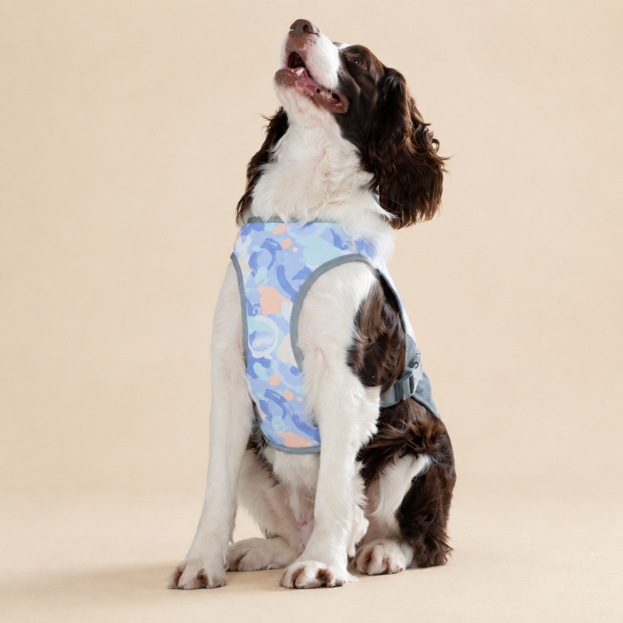 Gilet rafraîchissant La Fraîchette pour chien, coloris Violet, Maison Pattounes, vue 3