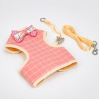 Le Baudrier · Harnais et laisse pour petit chien