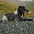 Harnais de randonnée Le Bât pour chien, coloris Gris, Maison Pattounes, vue 3