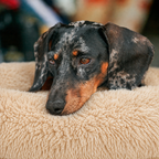 Lit moelleux chaud Le Nuage pour chien, coloris Abricot, Maison Pattounes, vue 2