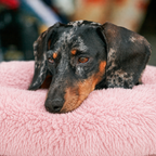 Lit moelleux chaud Le Nuage pour chien, coloris Rose Poudré, Maison Pattounes, vue 2