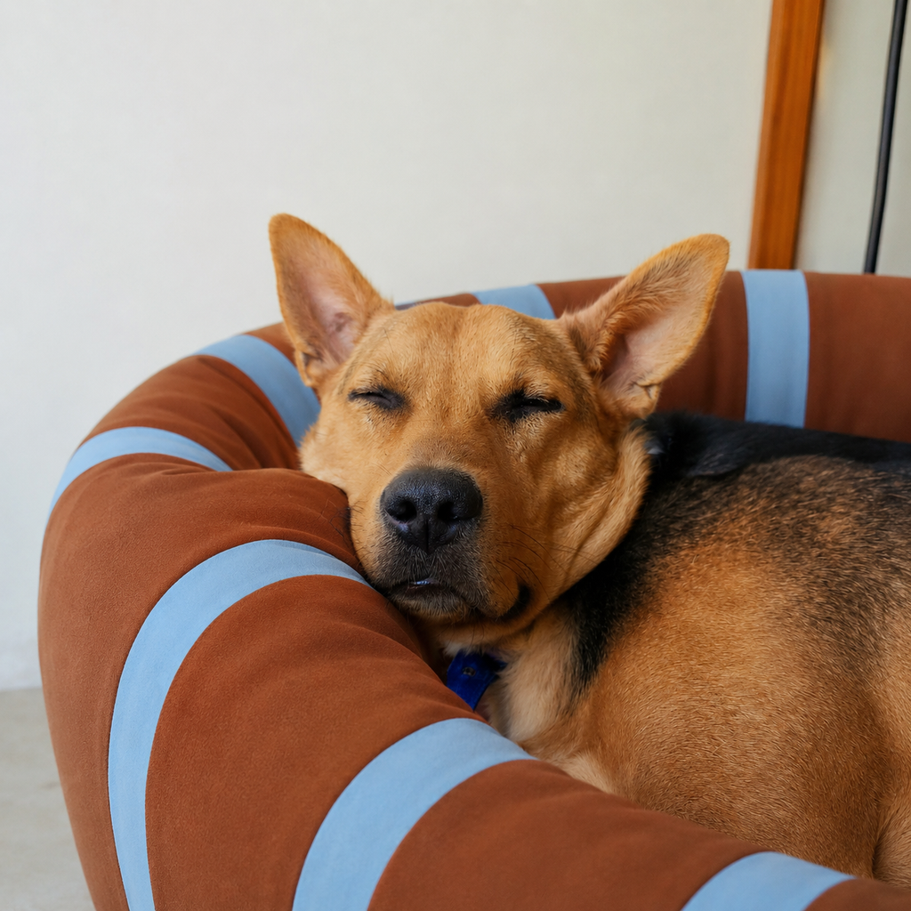 Lit rafraîchissant Le Zéphyr pour chien, Maison Pattounes, vue 3